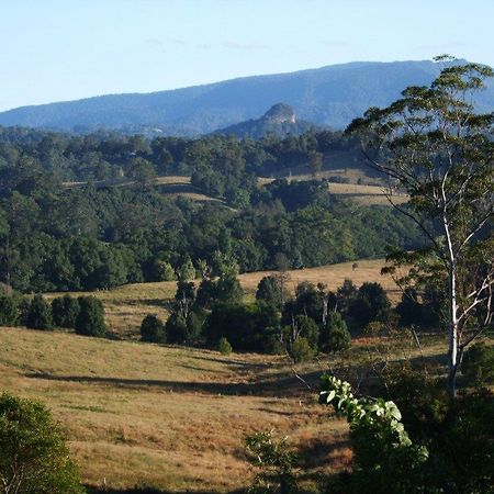 Grey Gum Lodge Nimbin Dış mekan fotoğraf