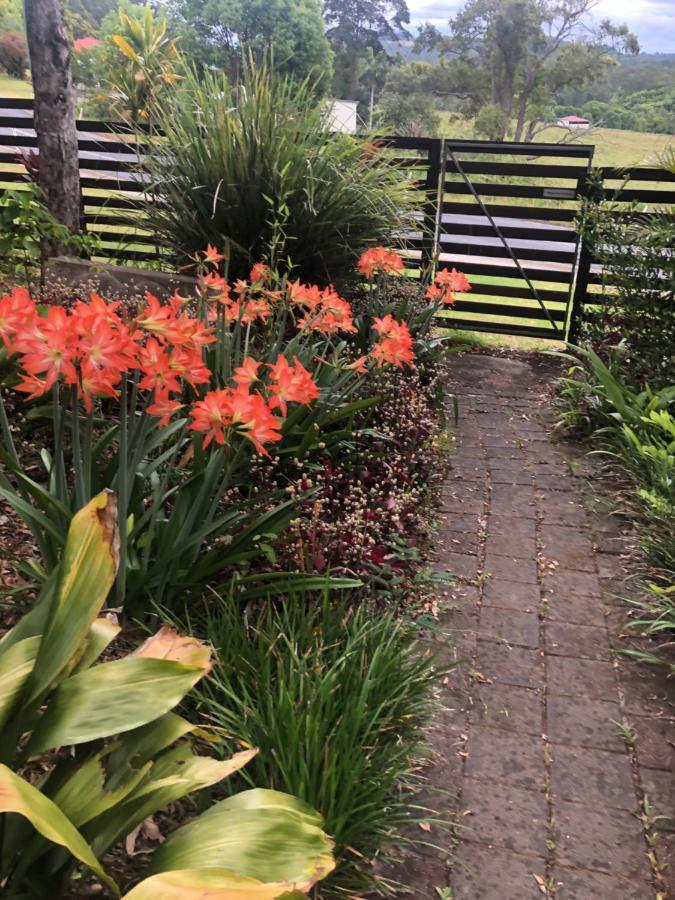 Grey Gum Lodge Nimbin Dış mekan fotoğraf