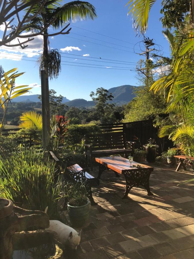 Grey Gum Lodge Nimbin Dış mekan fotoğraf