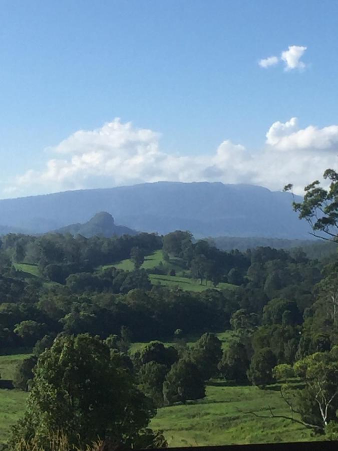 Grey Gum Lodge Nimbin Dış mekan fotoğraf