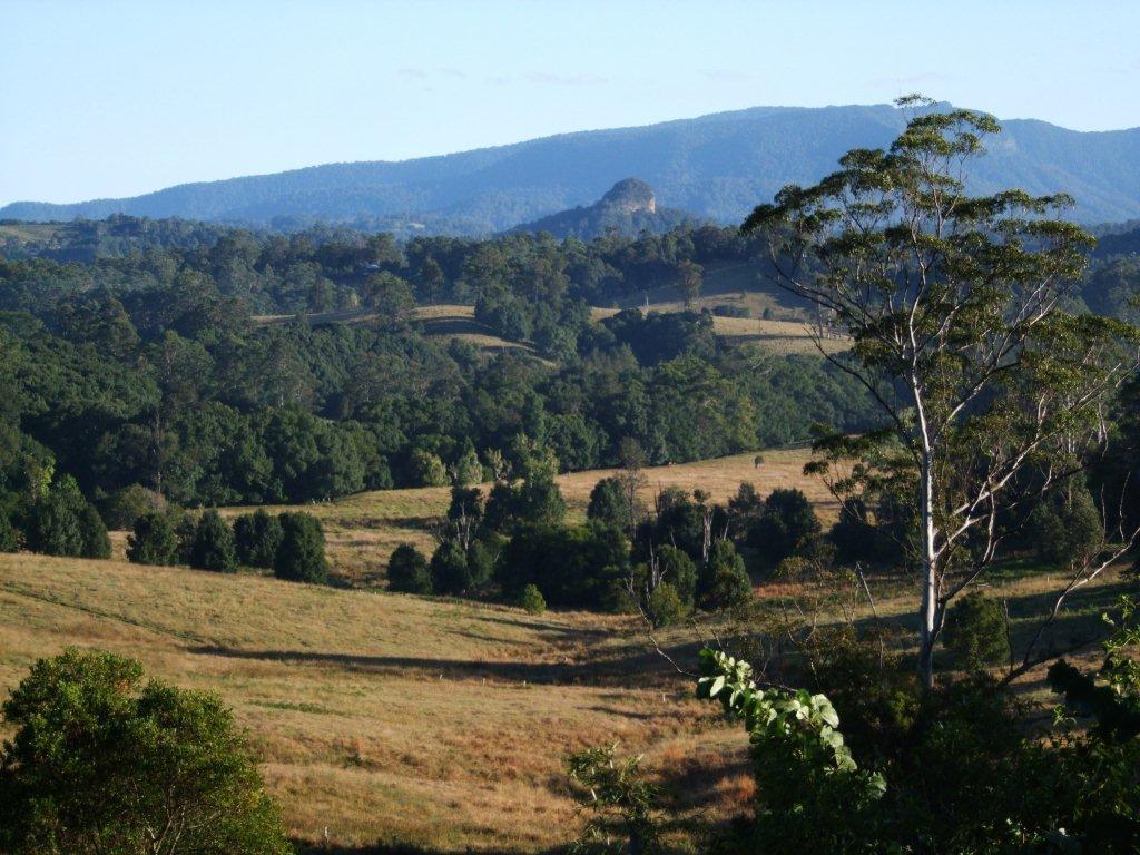 Grey Gum Lodge Nimbin Dış mekan fotoğraf