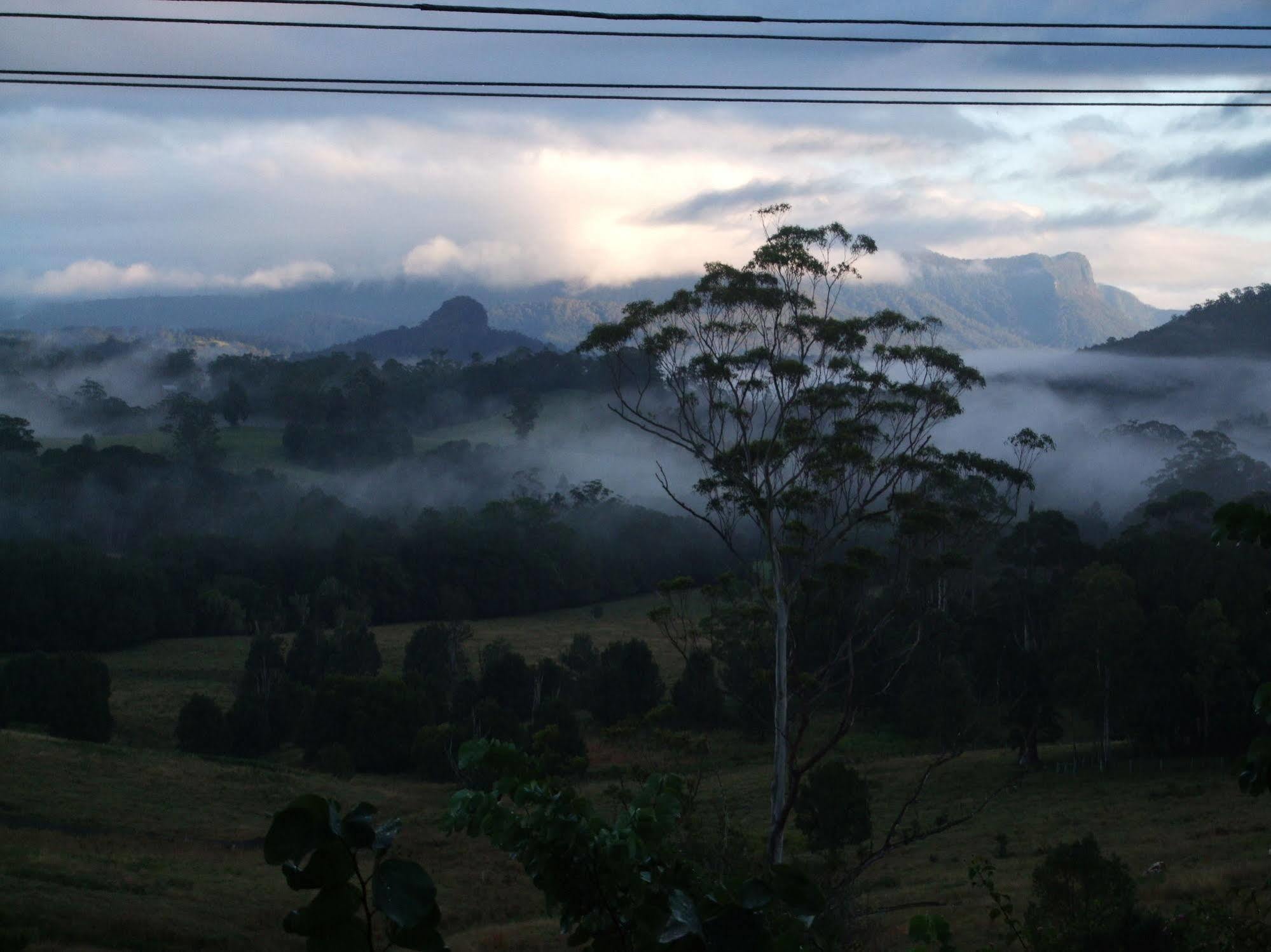 Grey Gum Lodge Nimbin Dış mekan fotoğraf